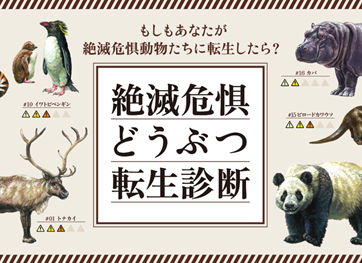 絶滅危惧どうぶつ転生診断